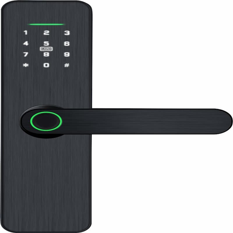 01 PZ-X6 Semi-Automatic Smart Lock