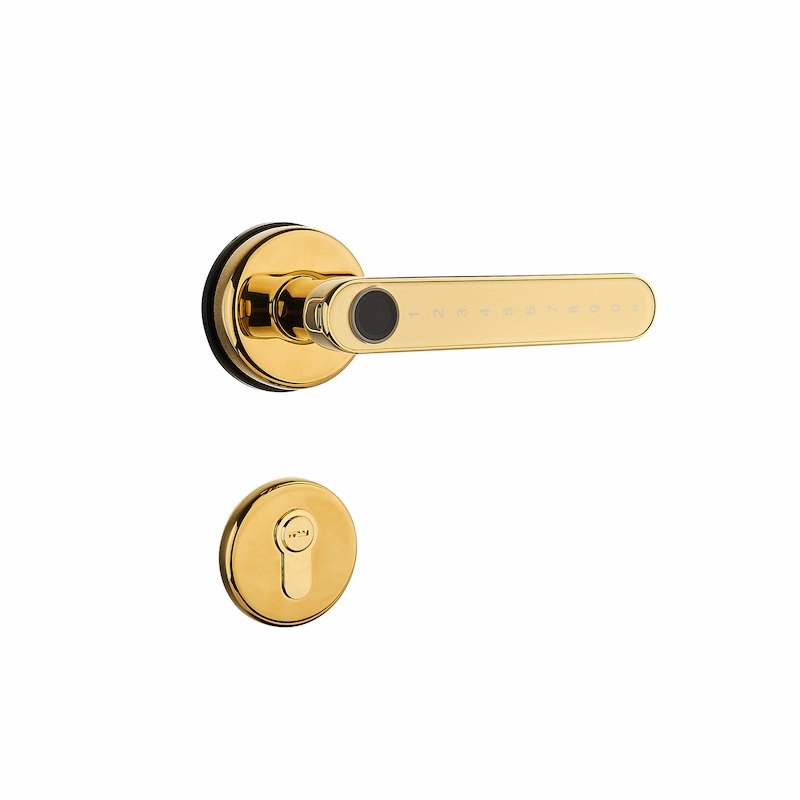 PZ-S1 Split Keyless Door Lock