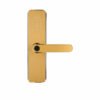 0ZY_1393 PZ-X6 Semi-Automatic Smart Lock