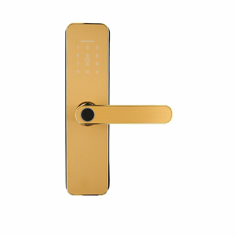 0ZY_1393 PZ-X6 Semi-Automatic Smart Lock