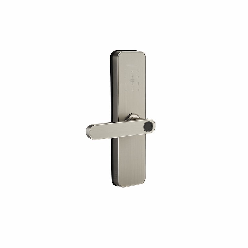 0ZY_1412 PZ-X6 Semi-Automatic Smart Lock