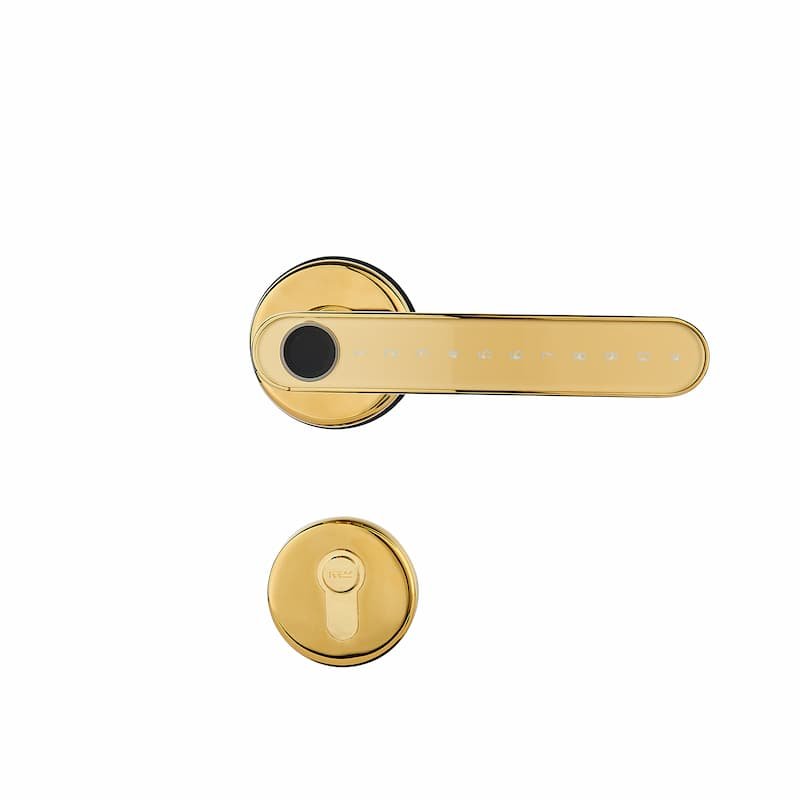 PZ-S1 Split Keyless Door Lock